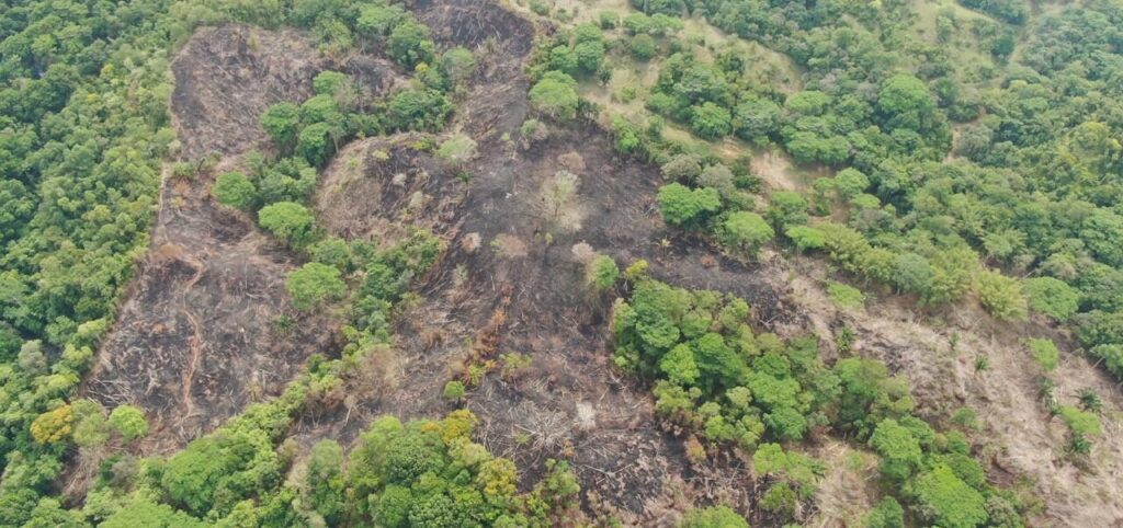 How – and Why – to Report Environmental Damage